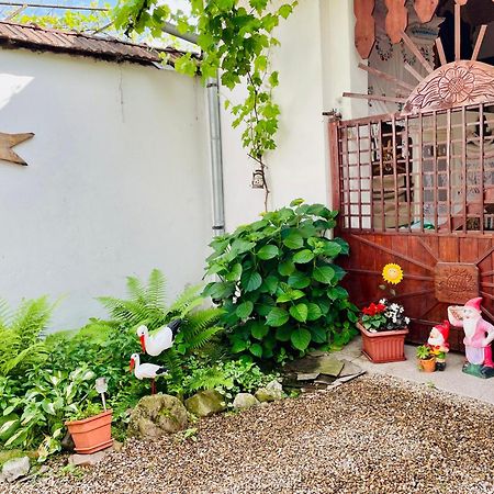 TărcaiaBalla House住宿加早餐旅馆 外观 照片
