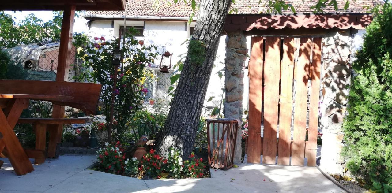 TărcaiaBalla House住宿加早餐旅馆 外观 照片
