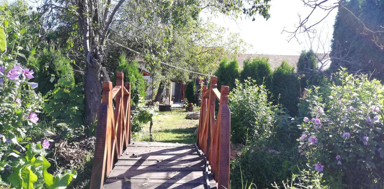 TărcaiaBalla House住宿加早餐旅馆 外观 照片