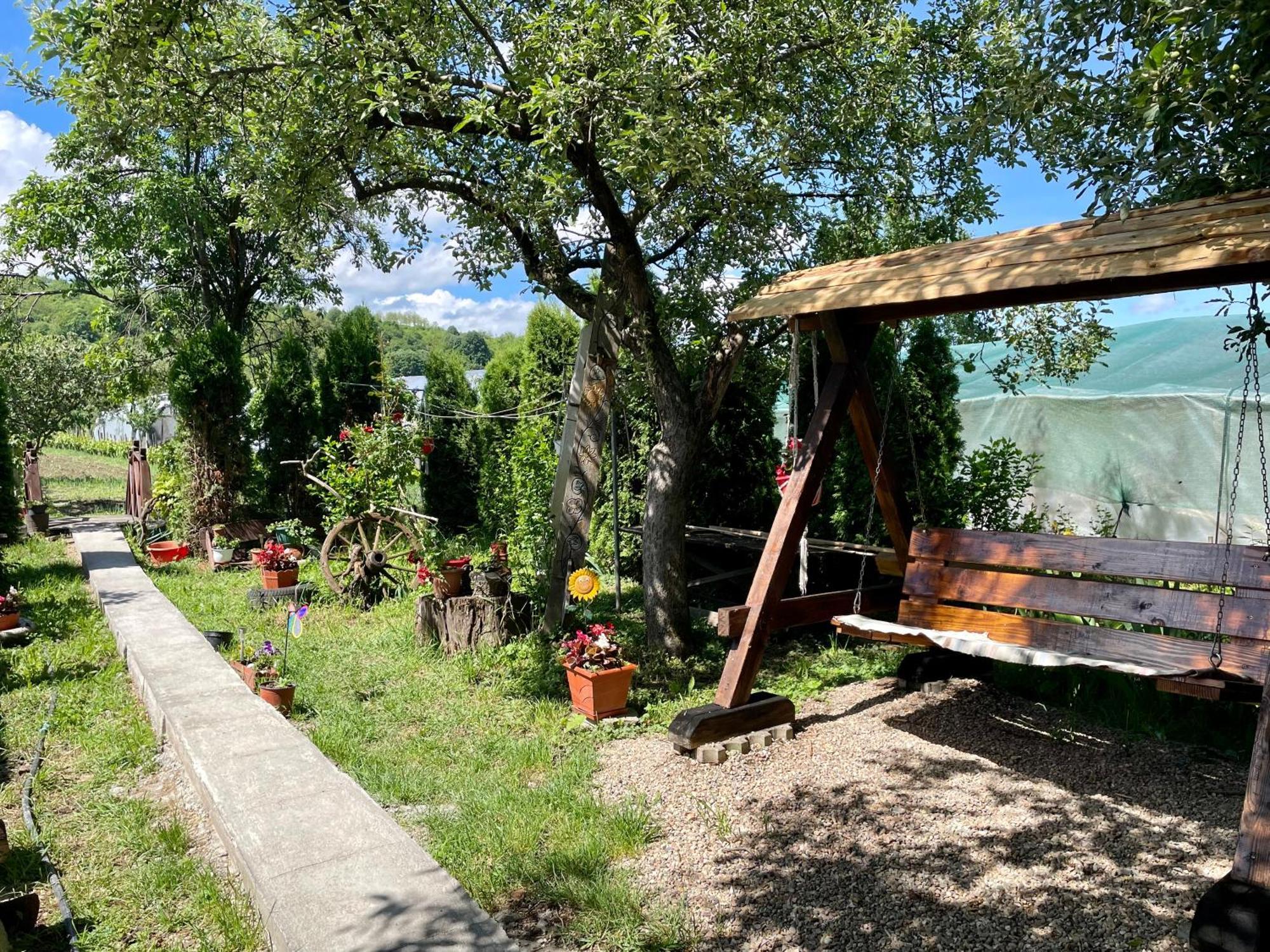 TărcaiaBalla House住宿加早餐旅馆 外观 照片