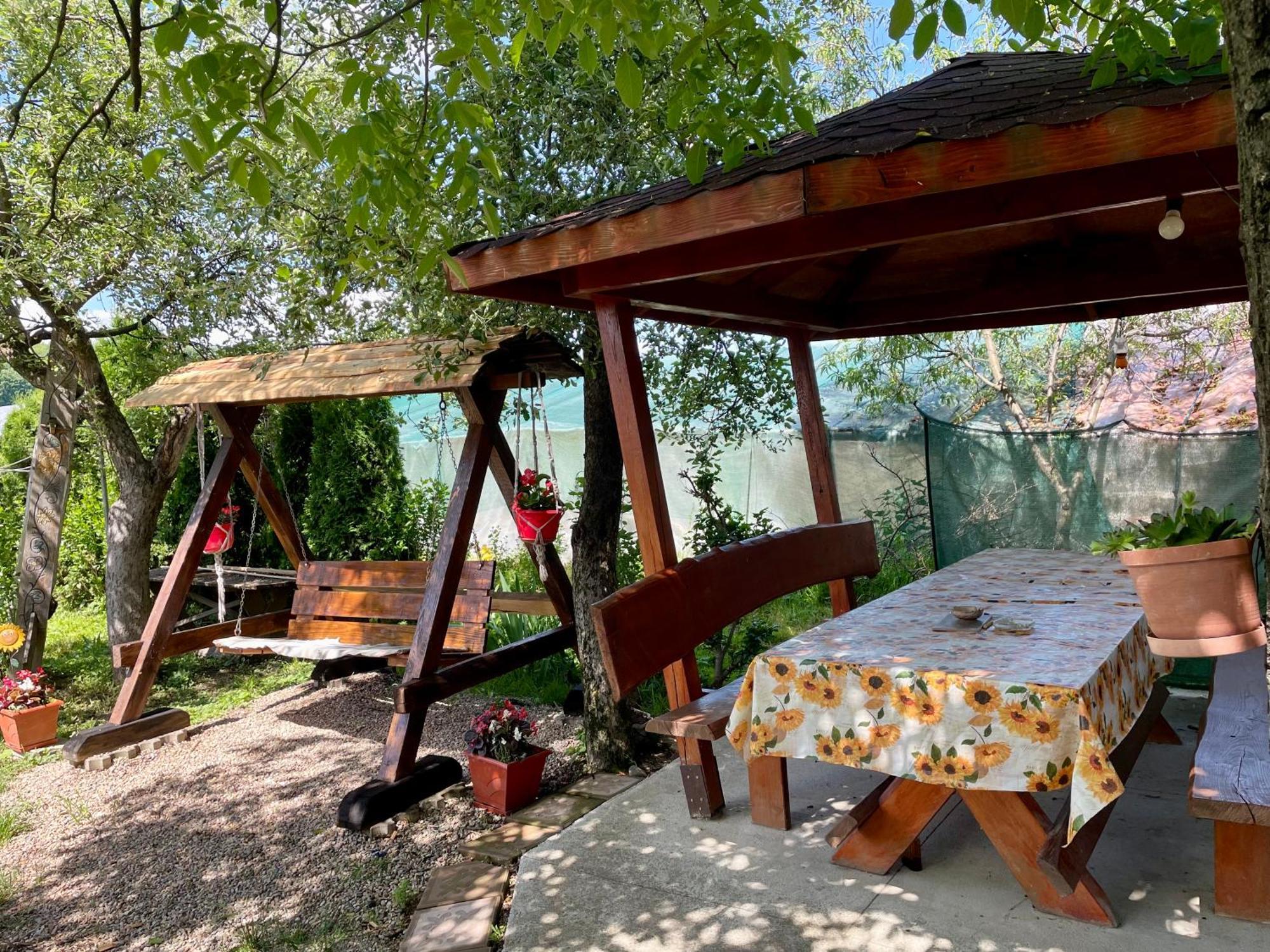 TărcaiaBalla House住宿加早餐旅馆 外观 照片