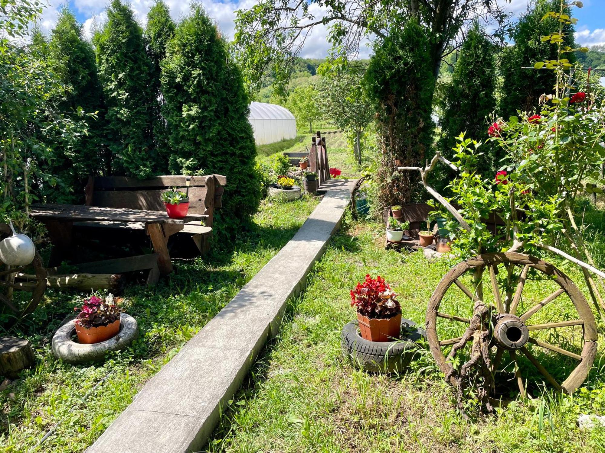 TărcaiaBalla House住宿加早餐旅馆 外观 照片
