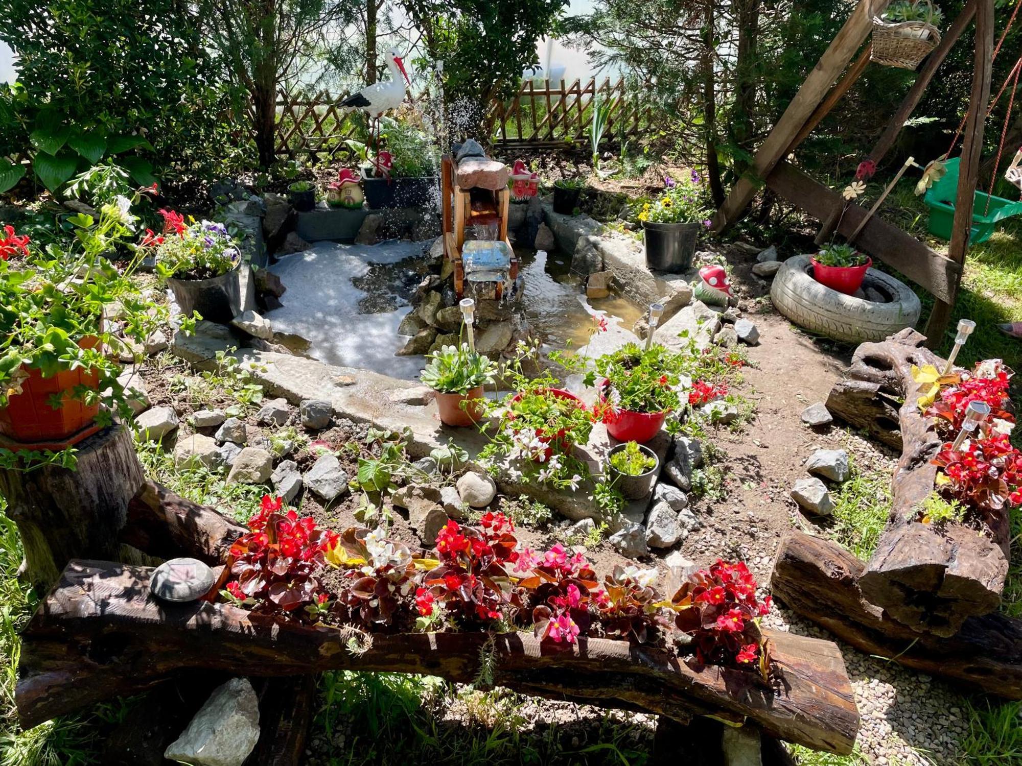 TărcaiaBalla House住宿加早餐旅馆 外观 照片