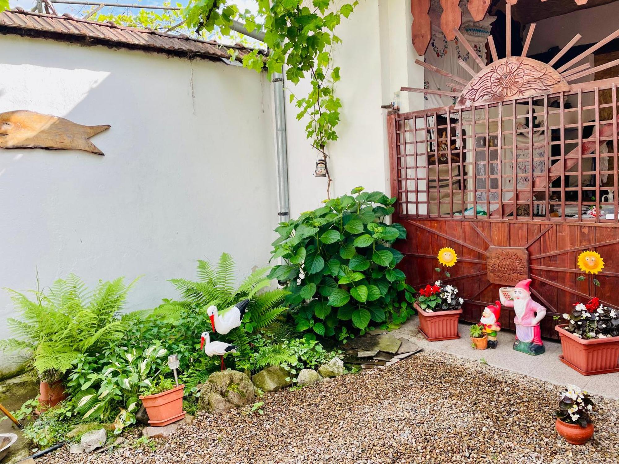 TărcaiaBalla House住宿加早餐旅馆 外观 照片